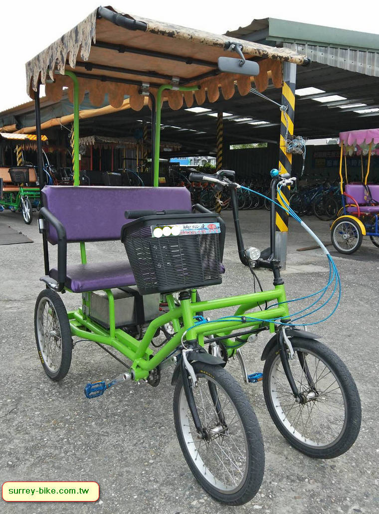 Lovers style Electric Motor Bike Tourist Cart